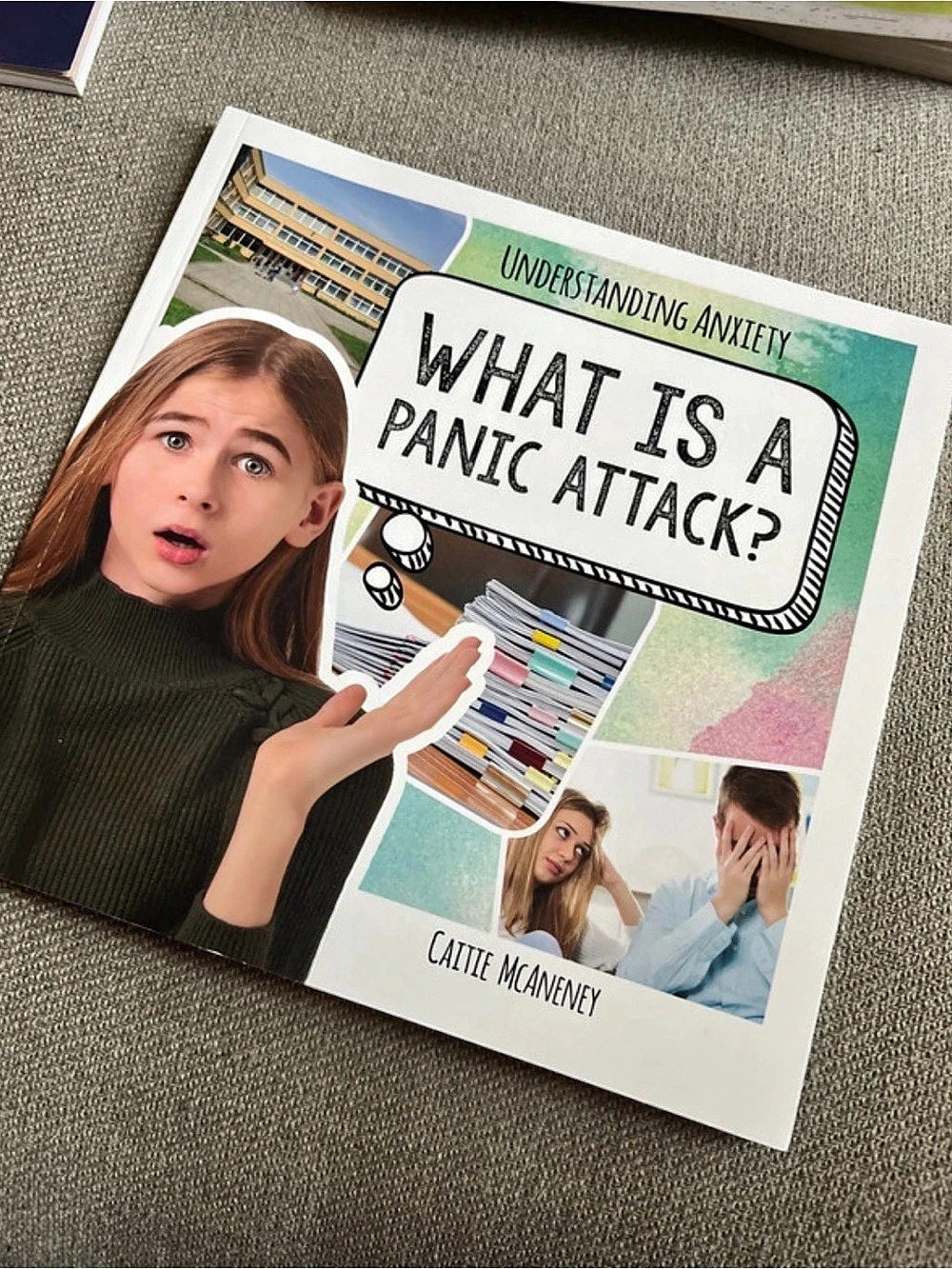 What Is a Panic Attack? (Understanding Anxiety) - Paperback by Caitie McAneney